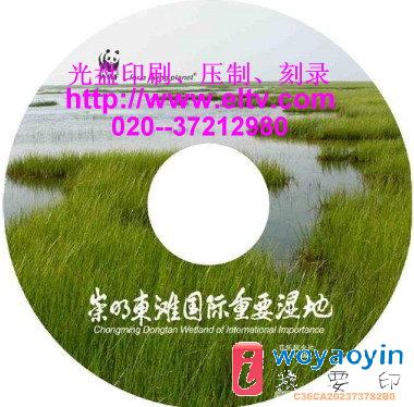 (yng)CDP(pn)ӡˢVCDP(pn)zӡCD䛡b